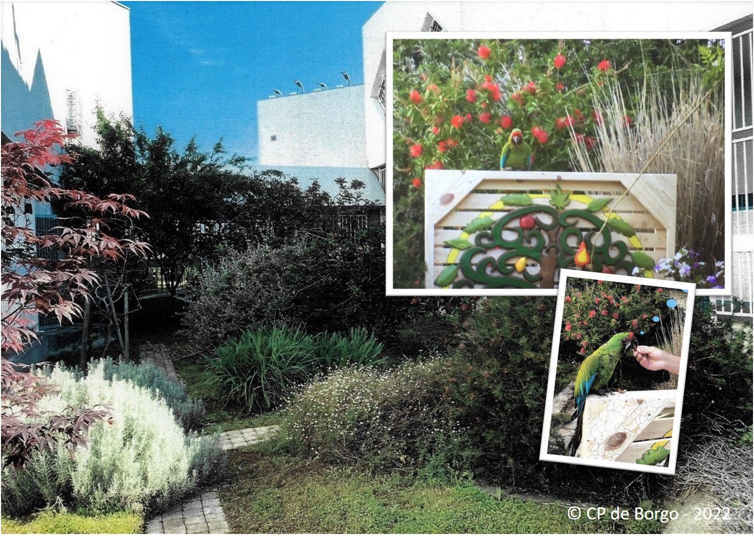 Photo-CP-Borgo-2022.jpg